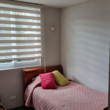 Plaza Brintrup Apartment Puerto Varas Bagian luar foto